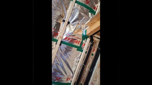 1000027202.mp4 (Собака смотрит на строительную часть под и/бруса на кухне в доме А-фрейм)