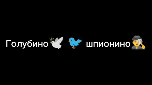 ТОП 10 ИТАЛЬЯНСКИХ🇮🇹 ЖИВОТНЫХ!