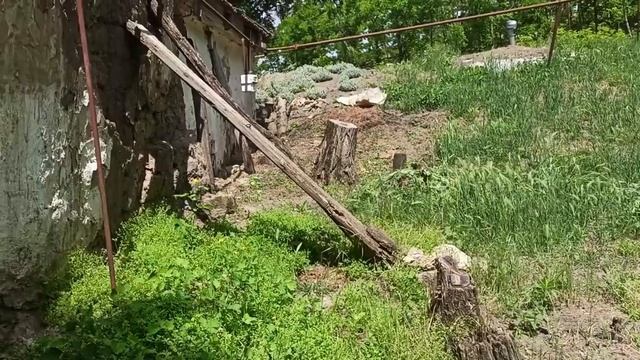 21-23 июня 2025г.Три дня косила. - Ириска- вернулась домой