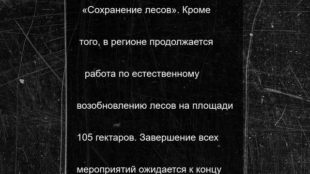 Ингушетия успешно завершила искусственное лесовосстановление