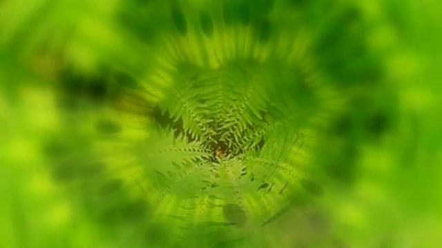 HEART CHAKRA MEDITATION