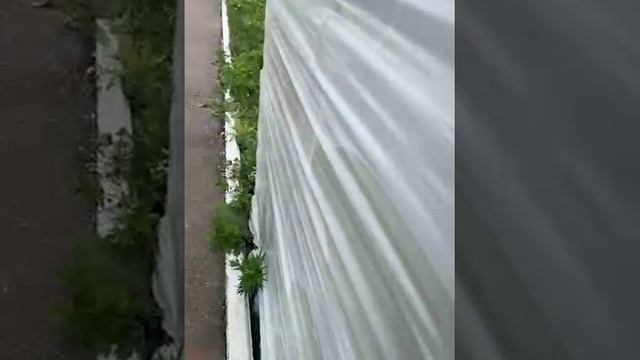 Скейтпарк Новые Ляды