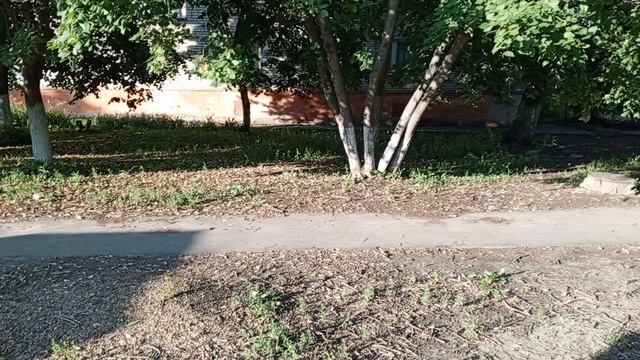 1000009190.mp4