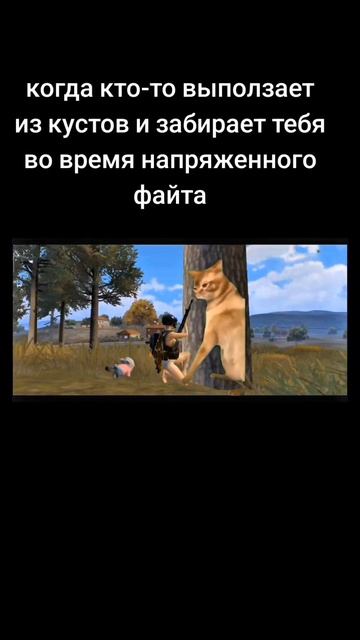 1000163073.mp4