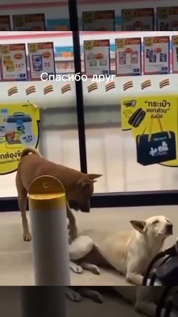 1000007457.mp4