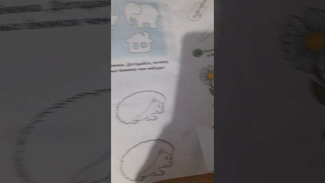 VID_20250623_194146