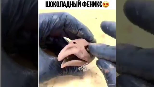 Прикол