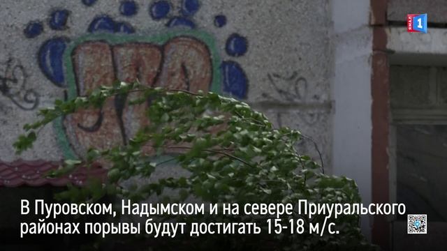 Ямальцев предупредили о сильном ветре 25 июня