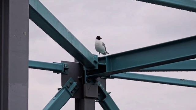 Строительно-монтажная инспекция при исполнении! ))