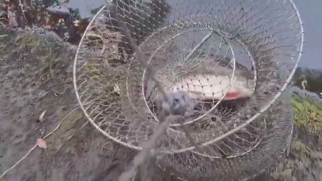 🐠 МЫ НА РЫБАЛКЕ, И НАШ УЛОВ🤗👍