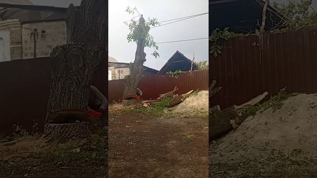 Валка ствола