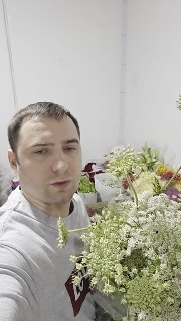 амми зелень для букета