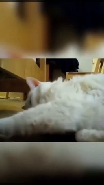 как просыпаются девушки парни😅