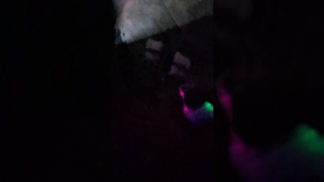 😁Зашла на огонёк и стала соучастницей шоу "Сюжеты")))😅😂🤣#черныйюмор #юмор  #истерика #ржунимагу