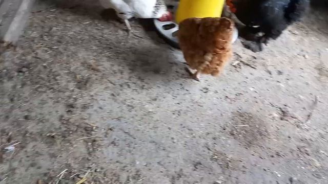Погода в Краснодарском крае