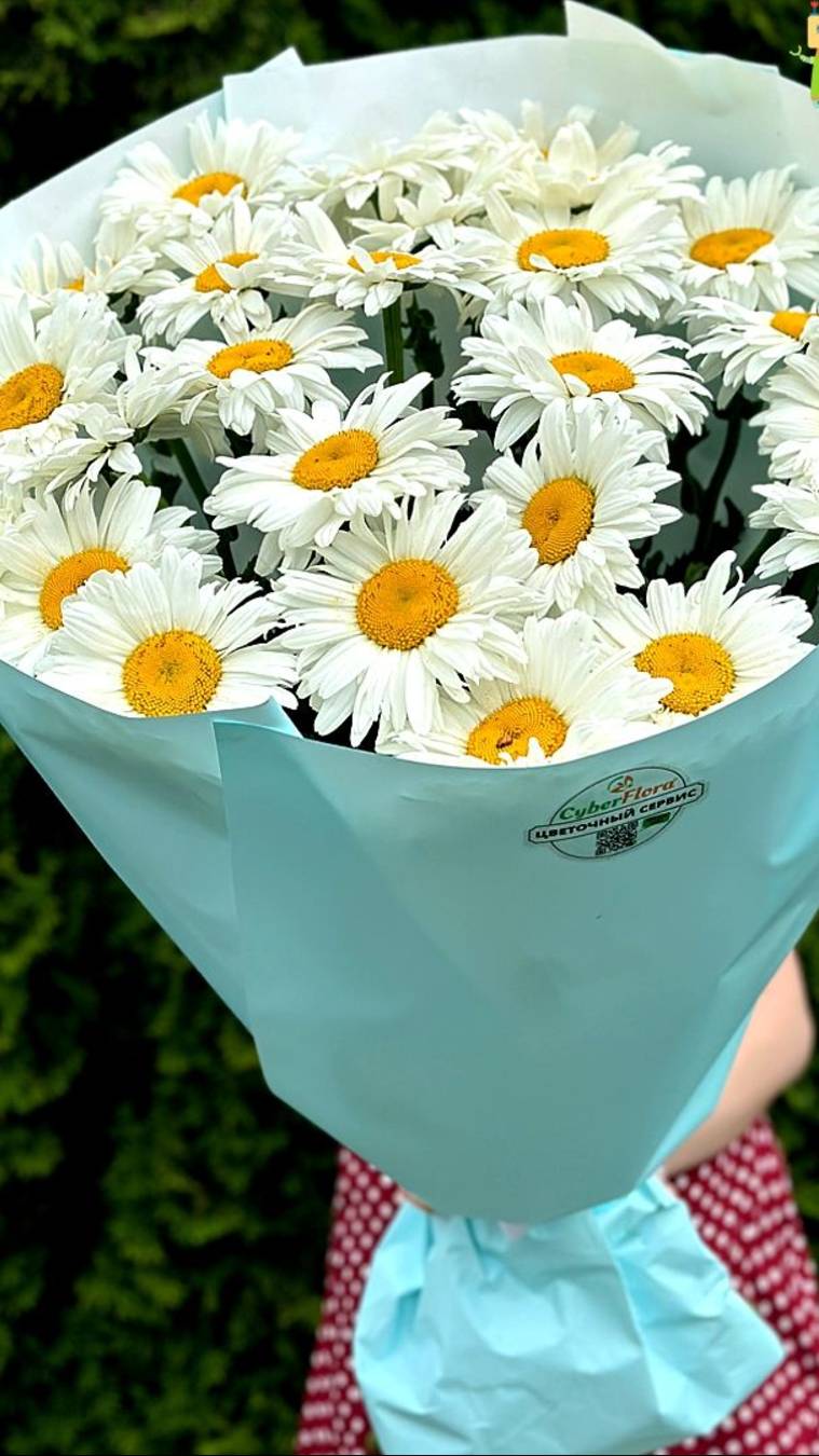 Доставка цветов|Цветы|Cyber Flora® | Кибер Флора® - Букет 25 ромашек