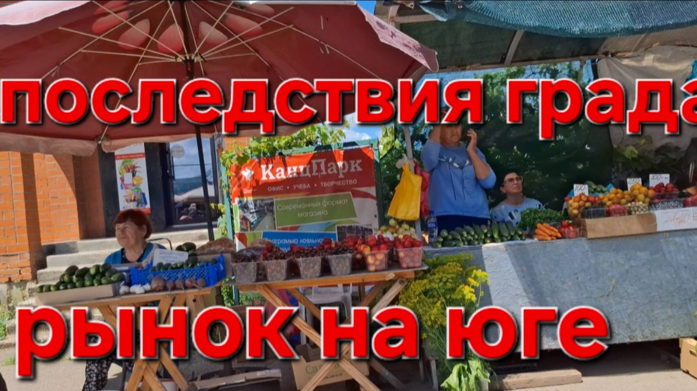 561 🏠 Рынок на юге. Последствия Града и Урагана.Срочно едем в город Тимашевск
