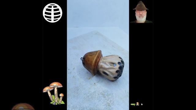 Белый иэ бука