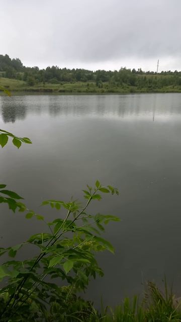 Прогулка на озеро,красита летней природы.