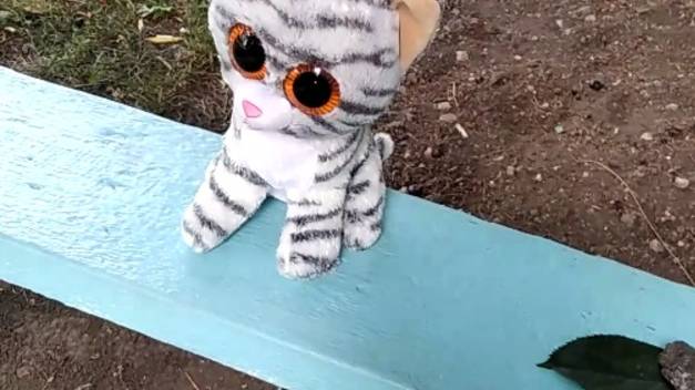 Клад камней с кошкой Маней