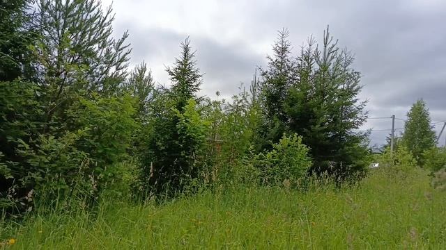 Участок 1695