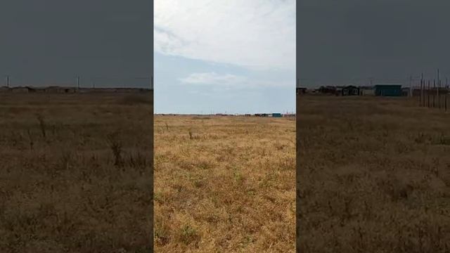 Беляус 9.mp4