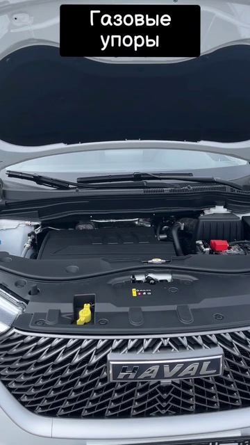 Газовые упоры капота на haval_m6