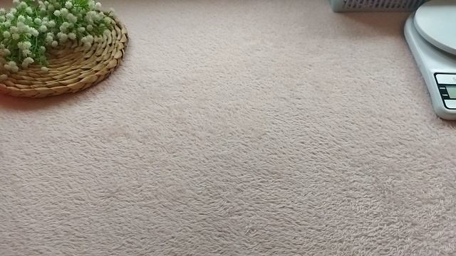 VID_20250620_165335.mp4