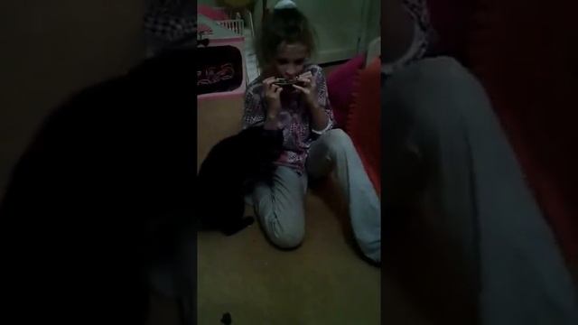 Поющая кошка!!!!!