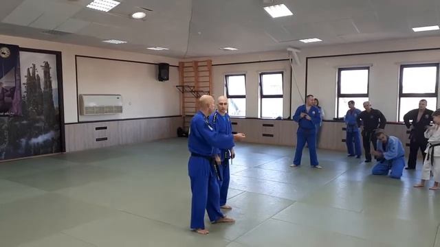 2. Самооборона.Реальное айкидо, Сербский стиль