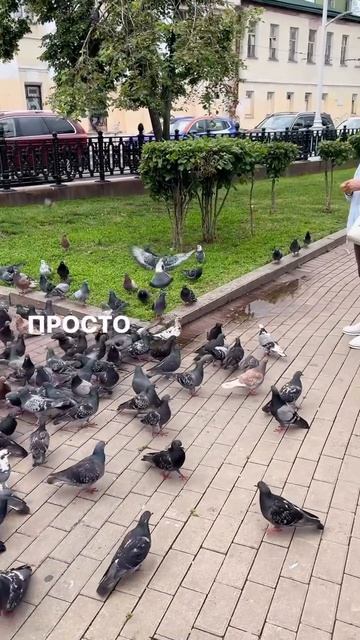 Не обижайтесь