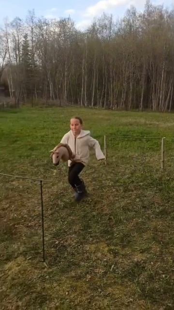 клип фигурки лошадей хоббихорсинг