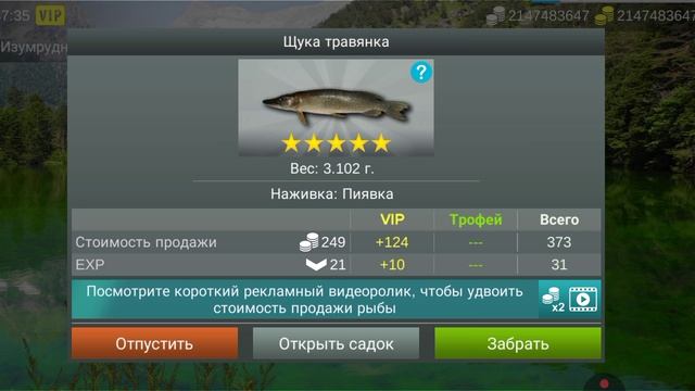 как легко фармить манет в  My fishing world