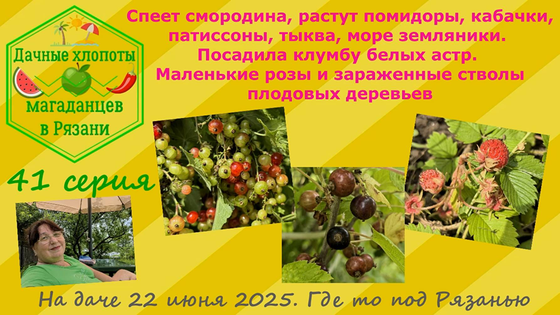 Спеет смородина,растут помидоры,кабачки,патиссоны,тыквы,море земляники.Посадила астры.Розы.41 серия