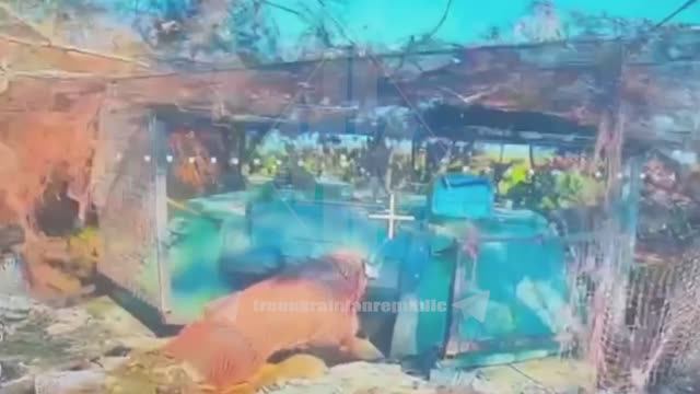 🔥☠️⚡Бойцы батальона им. Максима Кривоноса продолжают уничтожать технику националистов...