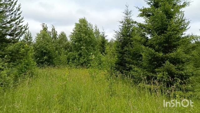 Земельный участок 43:30:420213:1695