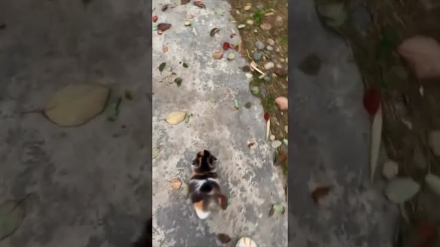 1000004900.mp4. ПОСТАВЬТЕ ЛАЙК, ЕСЛИ ПОНРАВИЛОСЬ