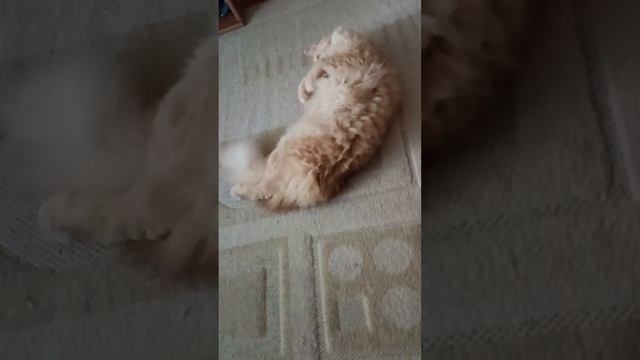 Relax 😽💕