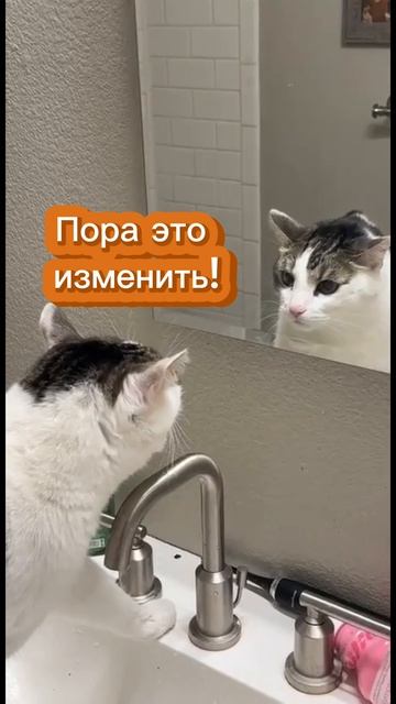 Негативное отношение к вам #творец #отношения #отношенияссобой #силасознания