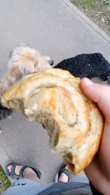 рулет с мясом