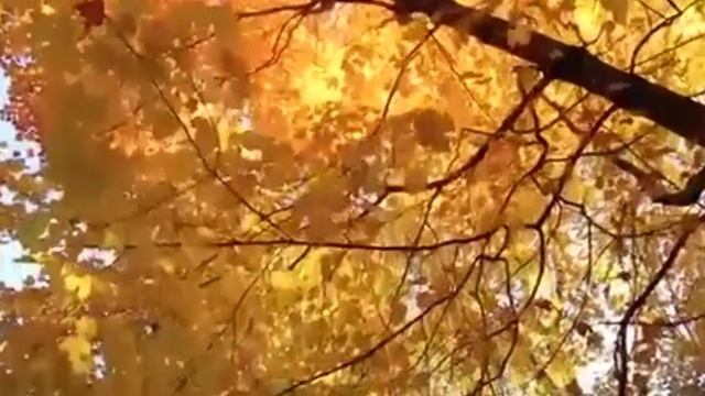 Осень