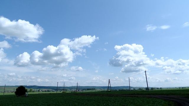 Раз - сурок, два - сурок!