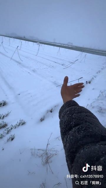 1000022881.mp4