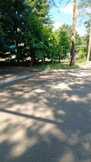 Гуляем в центре
