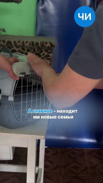 «Самое классное — когда кот, который всего боялся, вдруг первый идёт тебя обнимать»