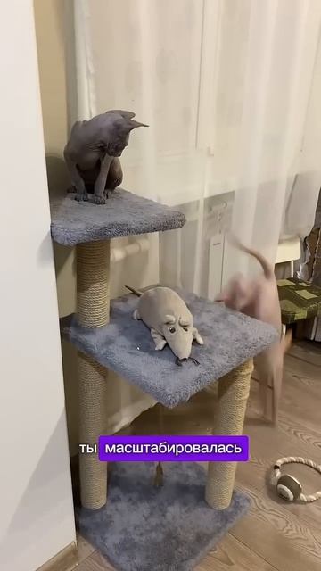 А, вот оно что…