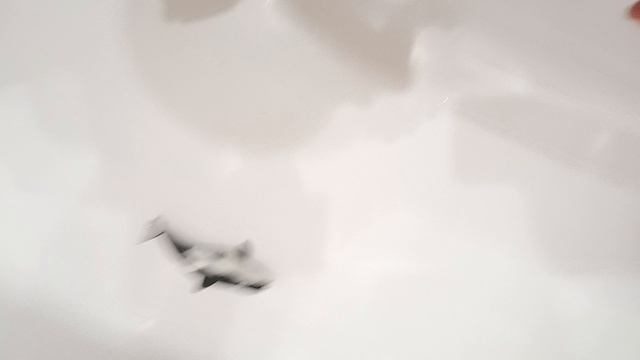 Димон и стас
