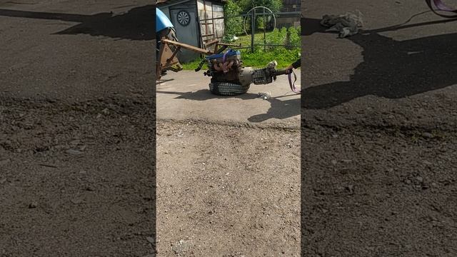 в гостях у соседей.