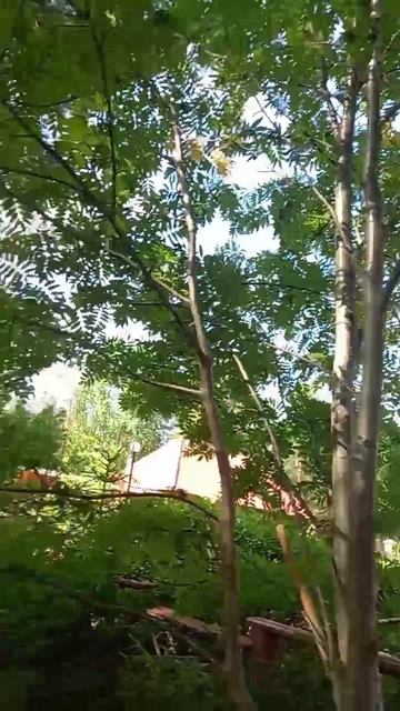 1000194432.mp4 красота