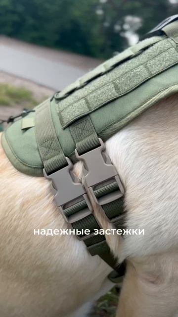 ТАКТИЧЕСКАЯ ШЛЕЙКА 🫡